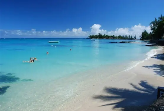 Escapade romantique à Tenerife : Rencontres amoureuses sous le soleil - Agence matrimoniale Unicis